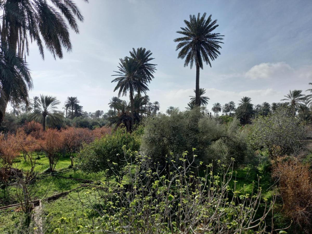 Dar Seddik Hotel Gafsa Exterior photo