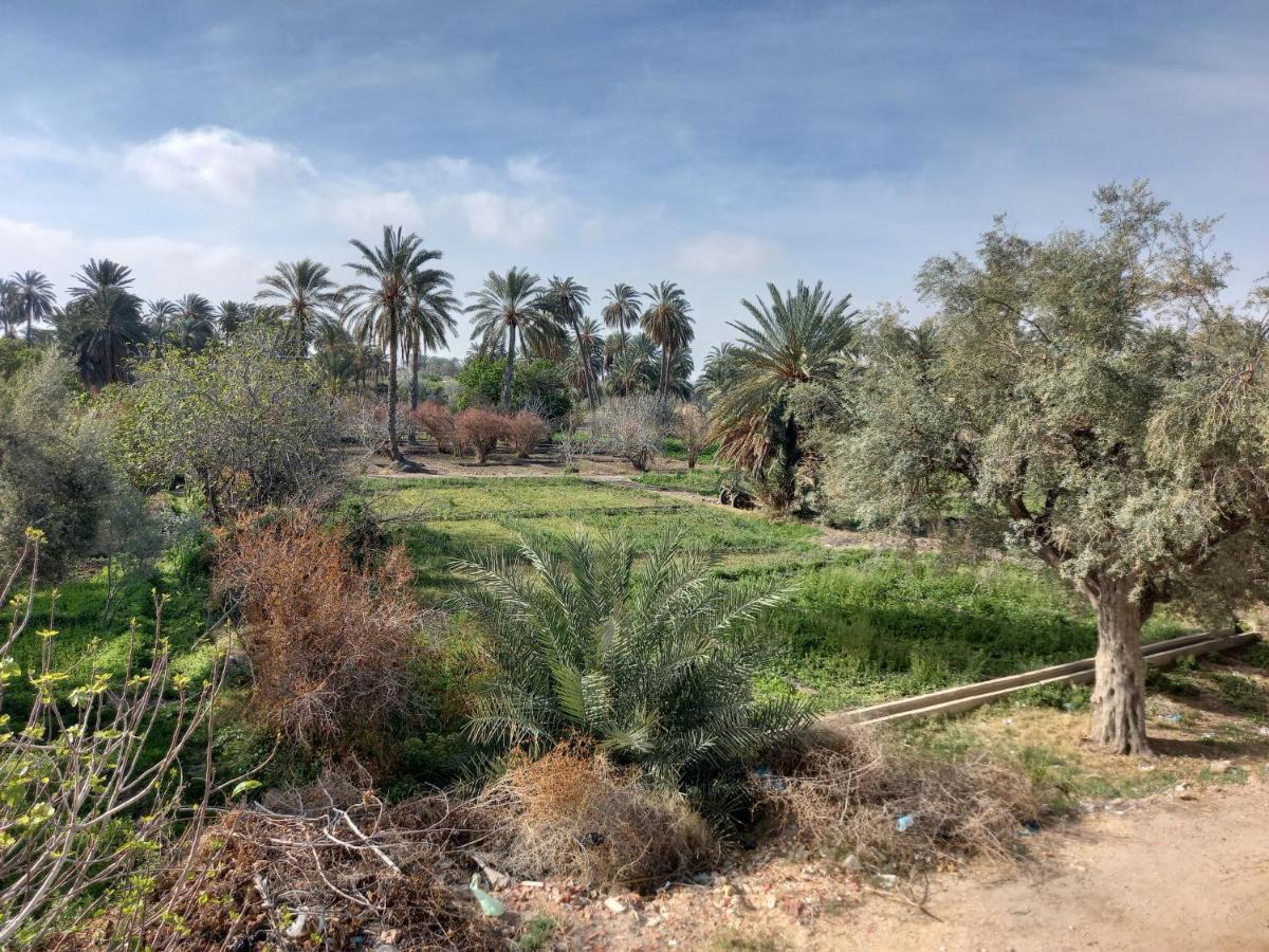 Dar Seddik Hotel Gafsa Exterior photo