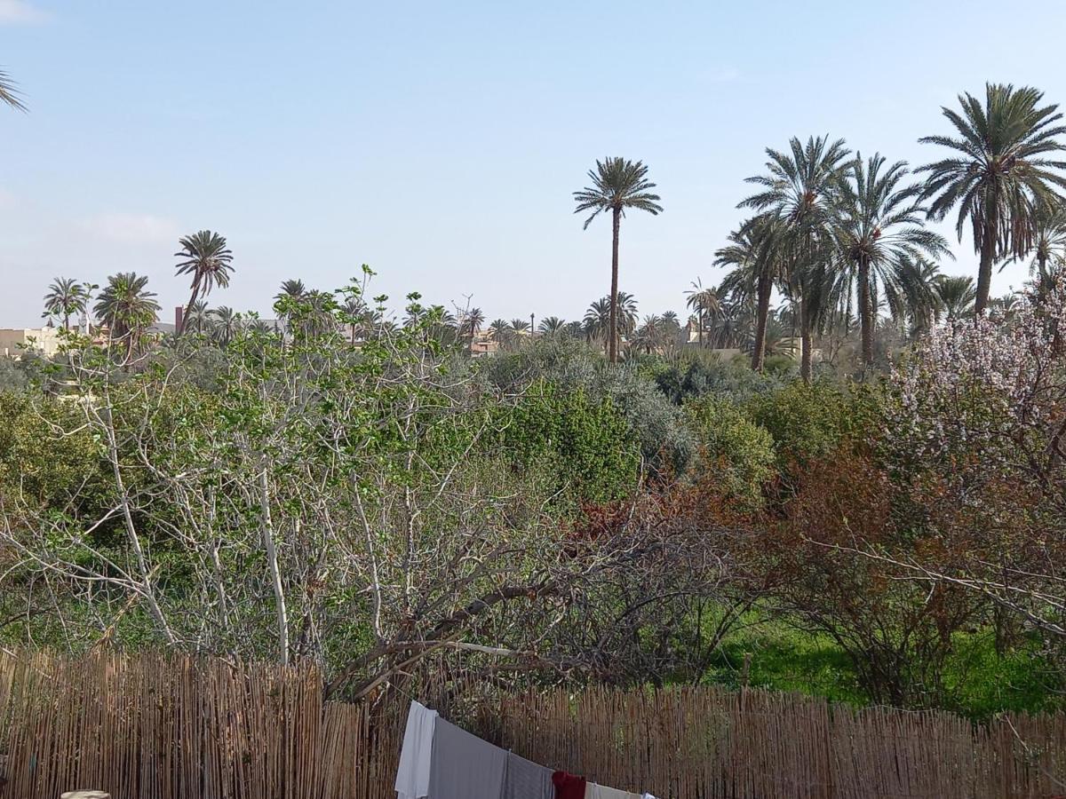 Dar Seddik Hotel Gafsa Exterior photo